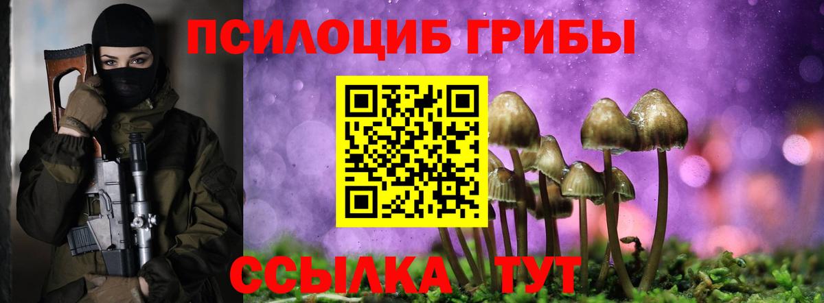 Галлюциногенные грибы Cubensis Борисоглебск